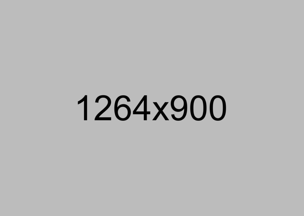 Project name