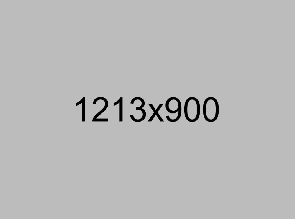 Project name