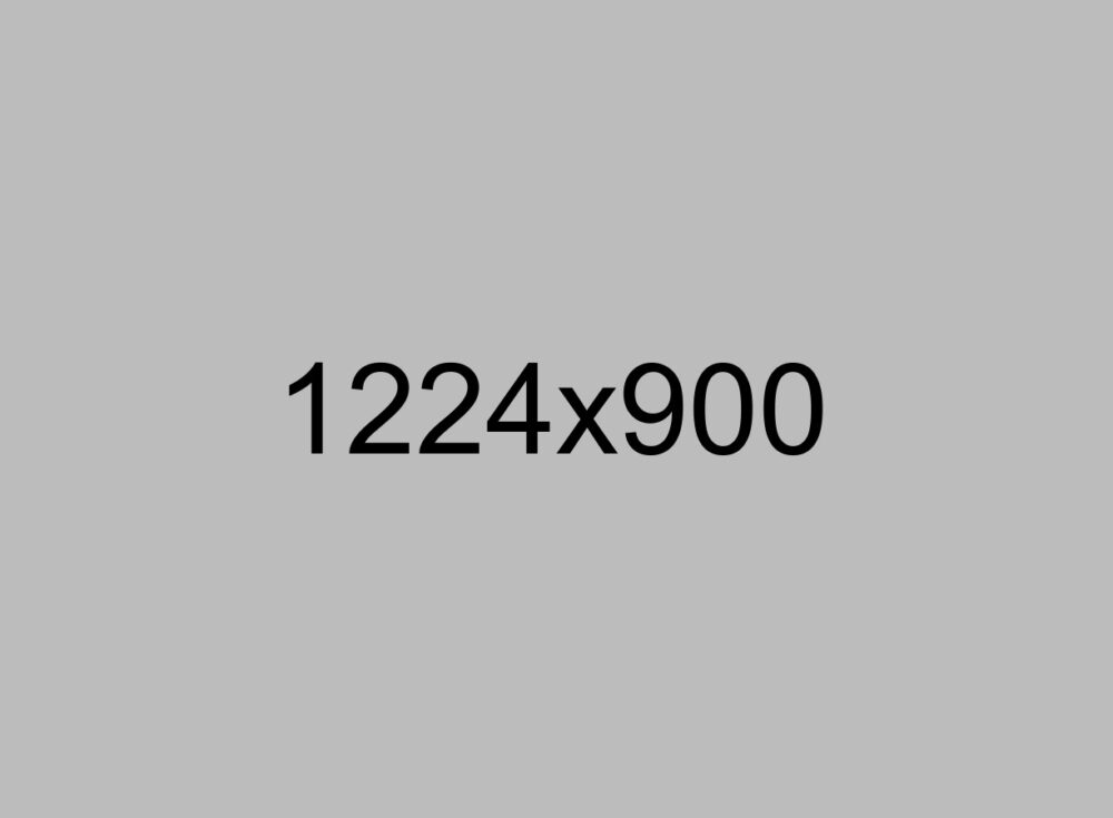 Project name