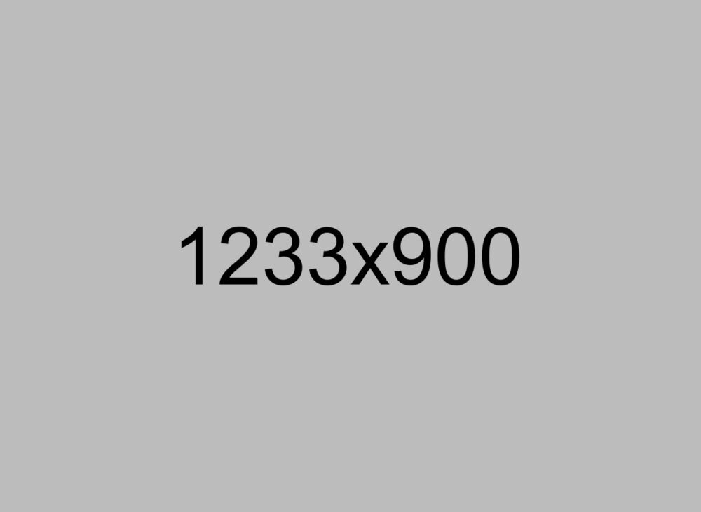 Project name